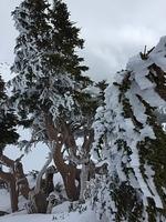 IMG 0260