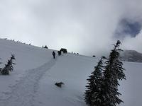 IMG 0271