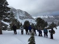 IMG 0272