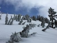 IMG 0274