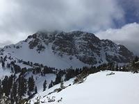 IMG 0288