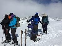 IMG 0290