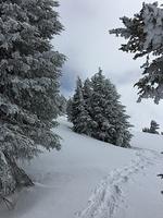 IMG 0291