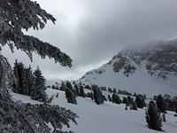 IMG 0292