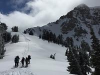 IMG 0294