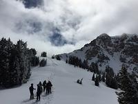 IMG 0295