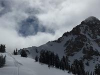 IMG 0296