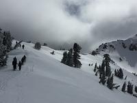 IMG 0299