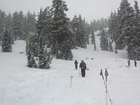 IMG 6857