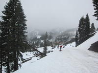IMG 6861