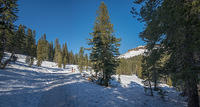 DSC 0338-Edit