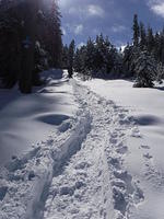 DSCF0080