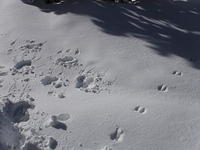 DSCF0087