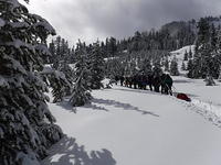 DSCF0091