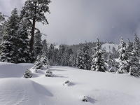 DSCF0117
