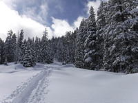 DSCF0130