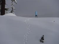 DSCF0141