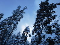 DSCF0192