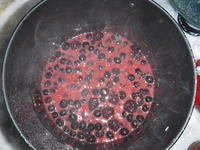 DSCF0251