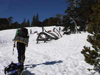 DSCF0547
