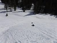 DSCF0677