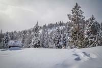 IMG 0474