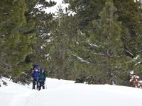 DSC08056