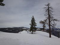 DSC08454