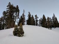 IMG 20170312 074542