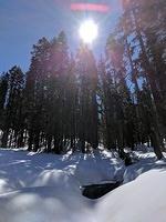 IMG 20170312 121109