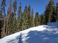 IMG 20170312 122819
