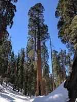 IMG 20170312 131945 1