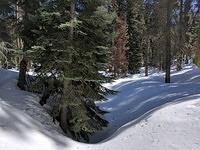 IMG 20170313 115117