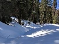 IMG 20170313 121346