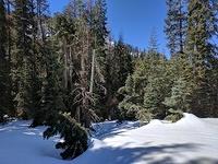 IMG 20170313 122104
