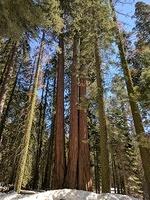 IMG 20170313 140538