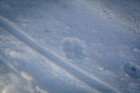 img 3229 32994691364 o