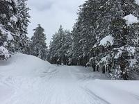 IMG 4660