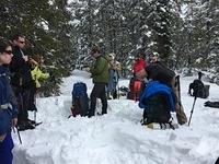 IMG 4674