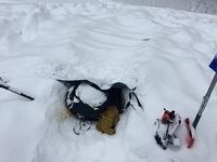 IMG 4707