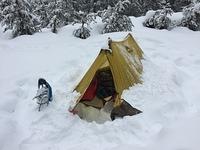 IMG 4709
