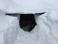 IMG 4718