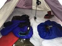 IMG 4730
