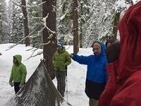 IMG 4738