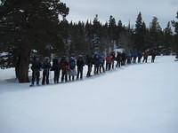 IMG 4649
