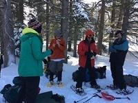 IMG 0829