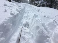IMG 3667