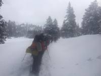 on the way-phone is fogged