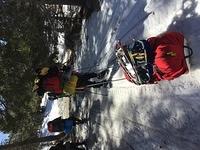 IMG 4425