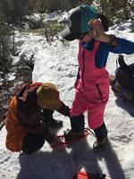 IMG 4546